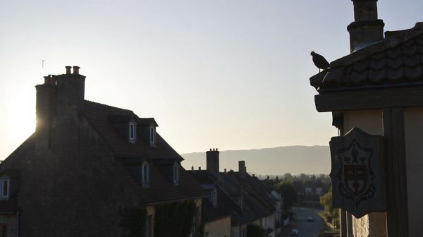 Choisir le meilleur couvreur à Maisons-Laffitte pour votre toiture
